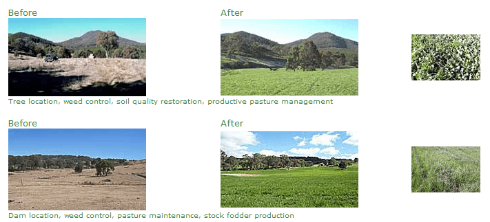 Before and After examples of our farm advisory services